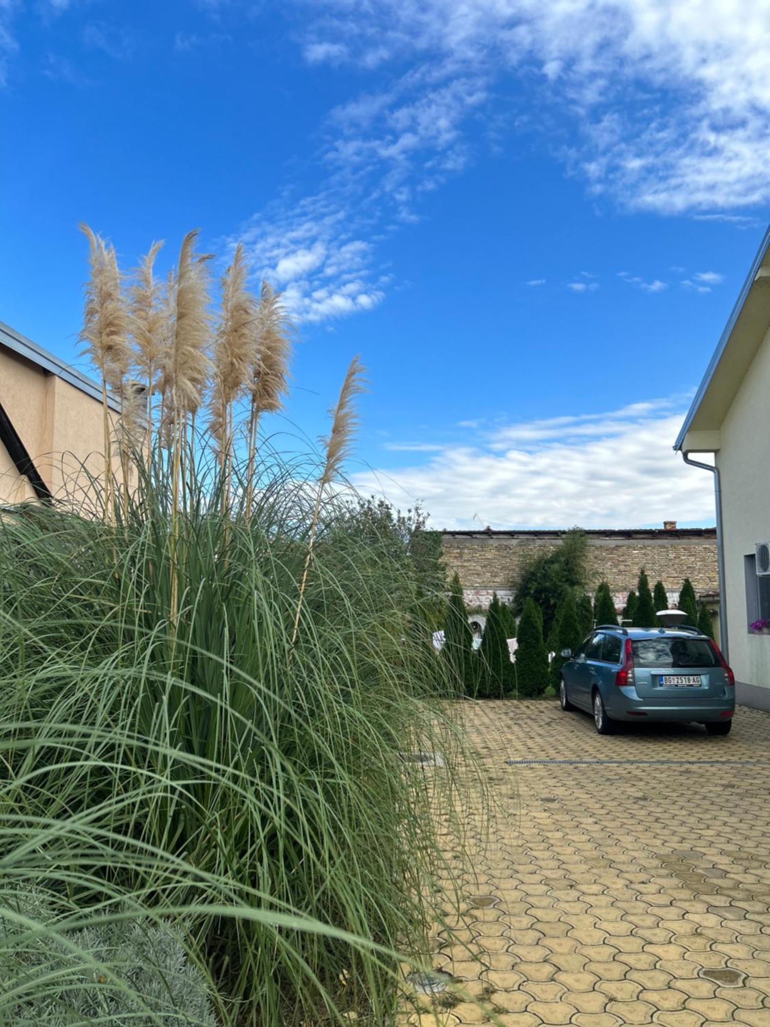 Apartamento Nest Zen Garden Novi Sad Exterior foto